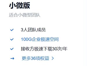 百度网盘 小微版 特权详细介绍