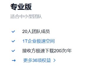 百度网盘企业版 专业版 企业特权介绍